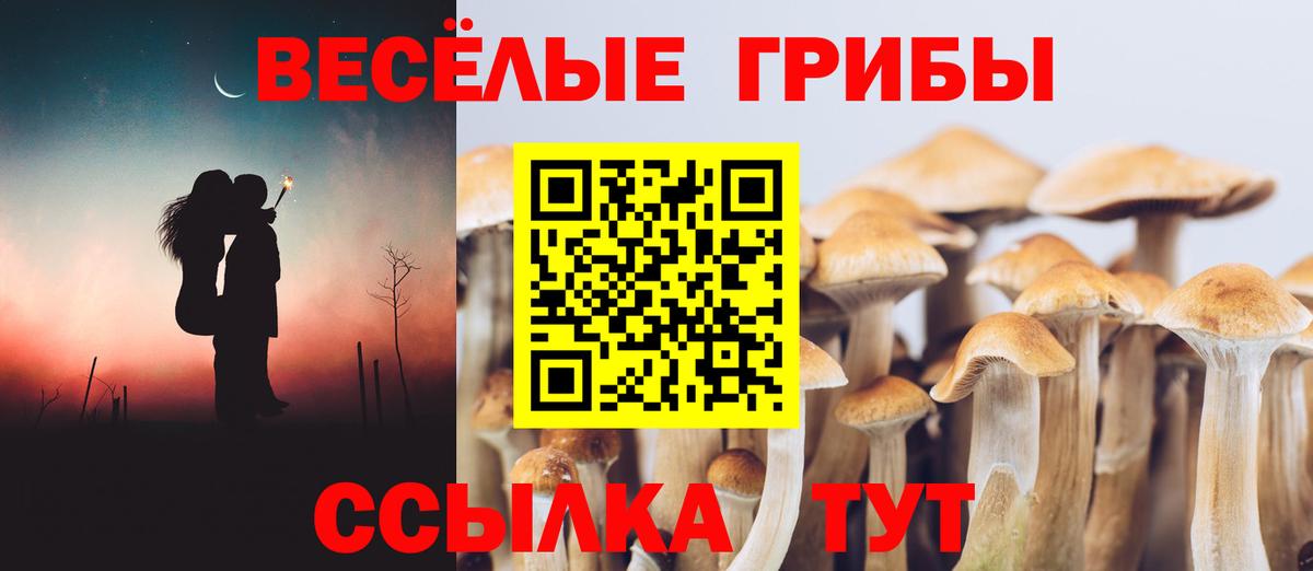 Псилоцибиновые грибы мухоморы Тулун